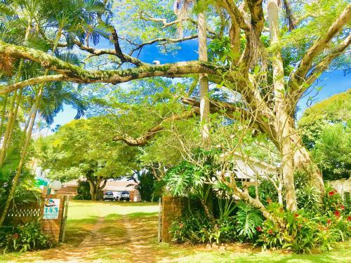St Lucia Holiday Cottage