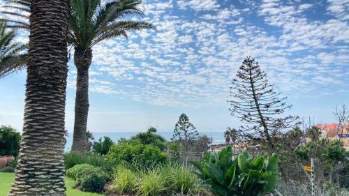 Apartamento @35 Brookes Suites Seaside Escape