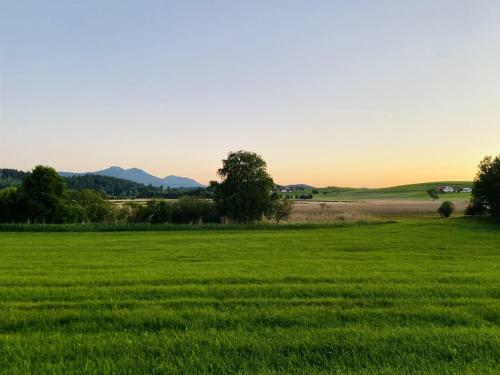 Hostal Pension Hirsch