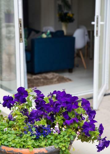 Hostal Kingsbeach Cottages