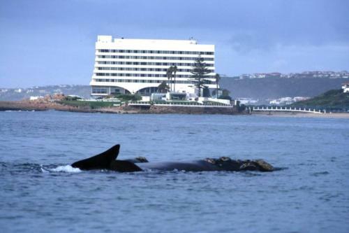 Apartamento My Place In Plett