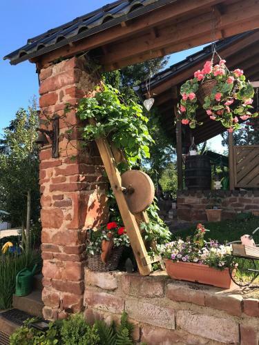 Apartamento Ferienwohnung Schmitz