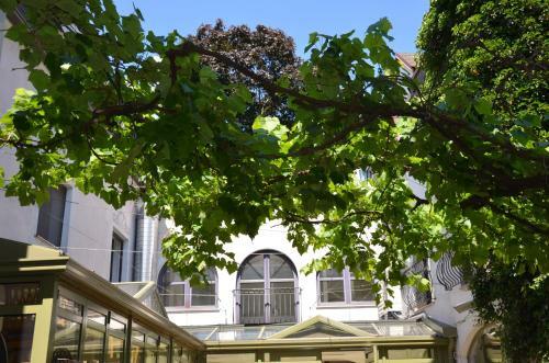 Hostal Weinlaubengasthof Rathausst�berl