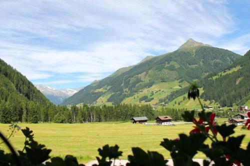 Hostal G�stehaus Olympia