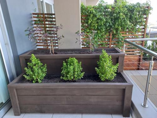 Luxury, Spacious 3 Bed Apartment In Plett
