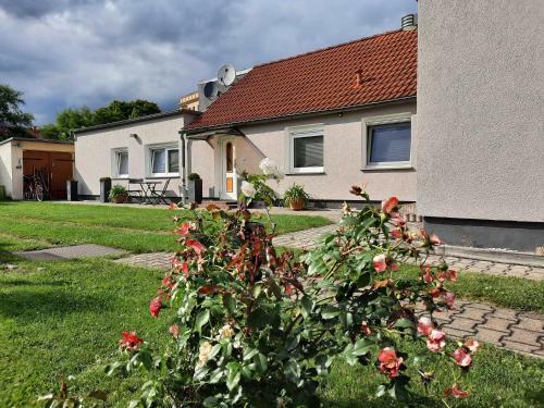 Apartamento Ferienappartement Paula