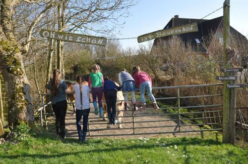 Apartamento Hof Herzleuchten, Familie Groth