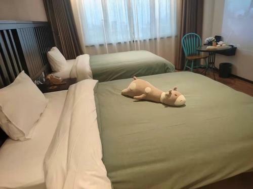 Hotel ???????????????????????