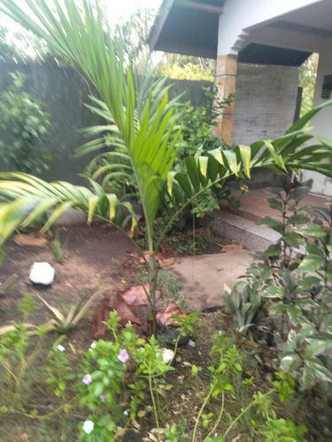 Apartamento Rumah Arry