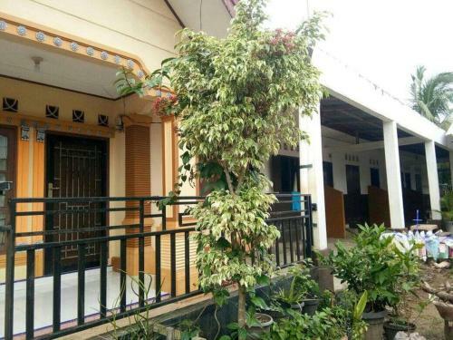 Hostal Anggita Guesthouse