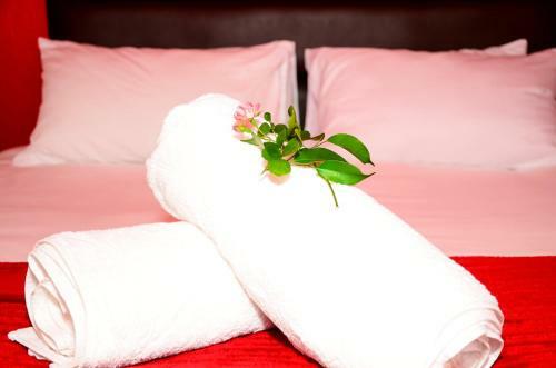 Hostal Novus Guest House