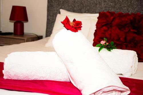 Hostal Novus Guest House