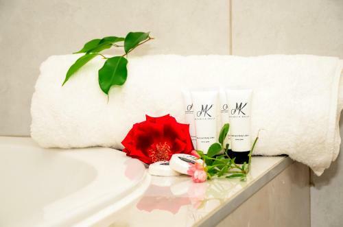 Hostal Novus Guest House