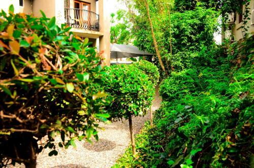 Hostal Novus Guest House