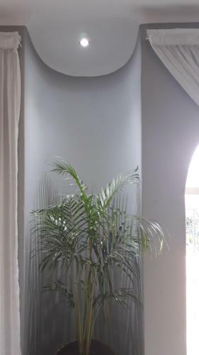 Bed & Breakfast Little Umhlanga. Sunflower Suite.