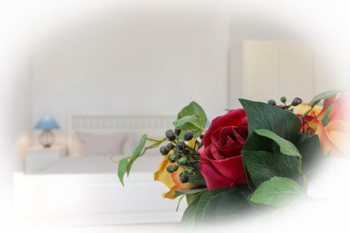 Apartamento G�stehaus Villa Fortuna