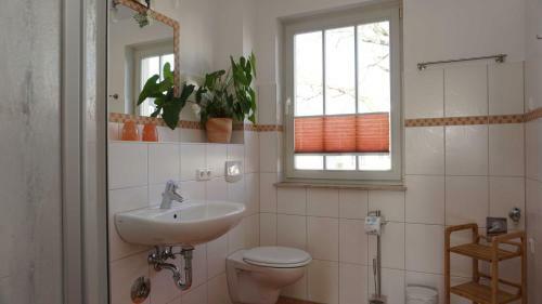 Apartamento Villa _duenen Vis A_ Vis_ _ Strand