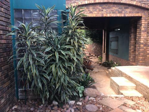 Hostal Spicata@wapadrand