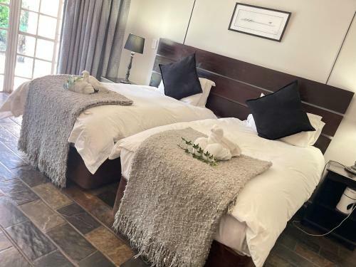 Hostal Amorus Guesthouse