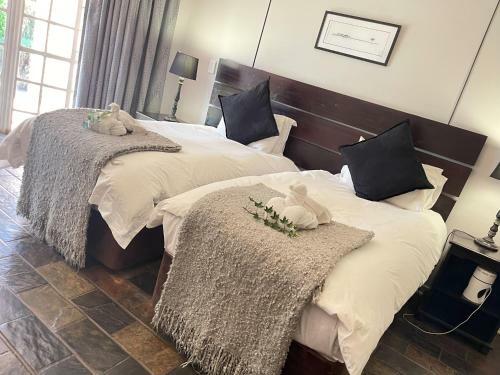 Hostal Amorus Guesthouse