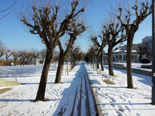 Apartamento Villa Bismarcksh�he Wohnung Elfriede