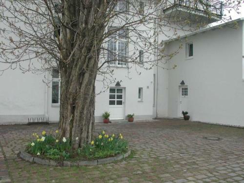 Apartamento Villa Bismarcksh�he Wohnung Elfriede
