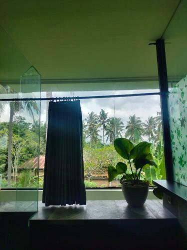 Basecamp Backpackers Non Hotel