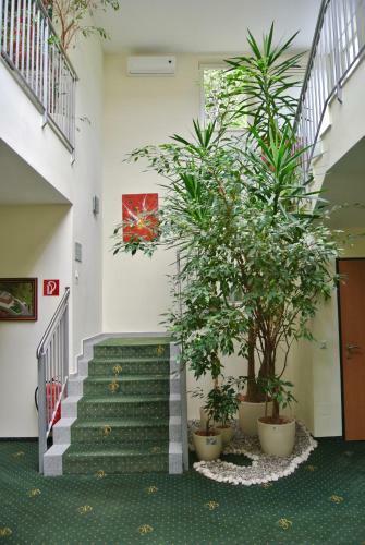 Hotel Bachgasslhof