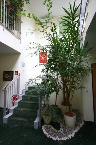 Hotel Bachgasslhof
