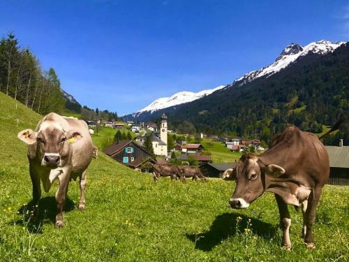 Agroturismo Bauernhof Gantner