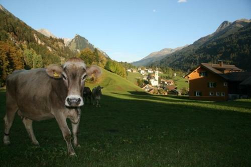 Agroturismo Bauernhof Gantner