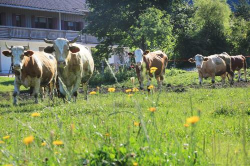 Agroturismo Heutauer Hof