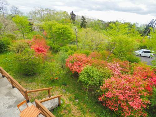 Rigeru - Vacation Stay 11338
