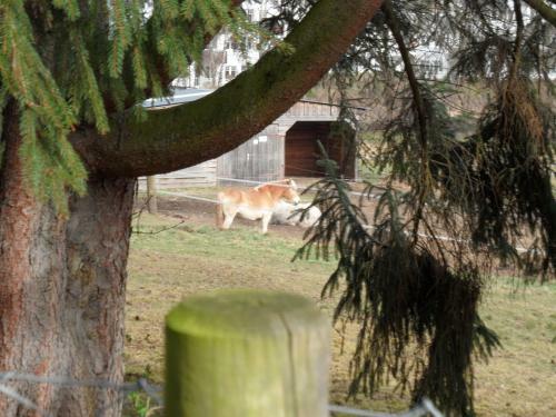 �kologische Ferienanlage