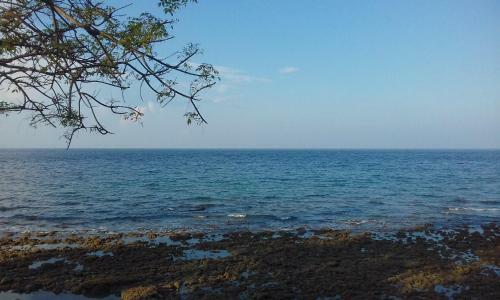 Lodge Aal Homestay