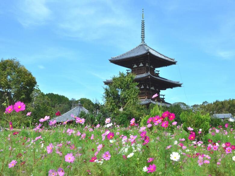 Apa Hotel Kintetsu-nara Ekimae