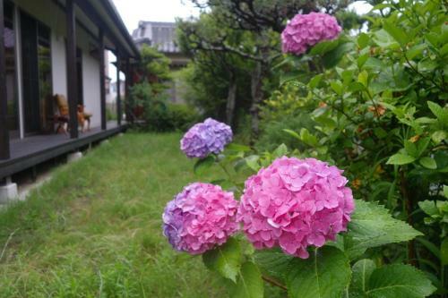Hostal Guest House Ki-zu - Vacation Stay 94978v