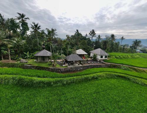 Kubu Astina
