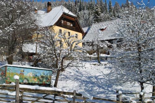 Agroturismo Schlintl-hof