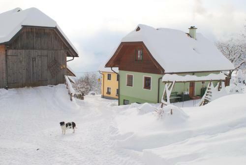 Agroturismo Schlintl-hof