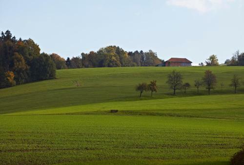 Hostal Pension Jageredt