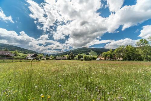 Haus B�hm