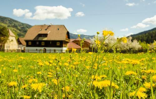 Agroturismo Pension Zechnerhof
