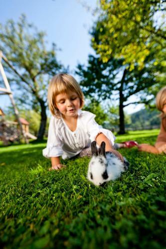 Agroturismo Pension Zechnerhof