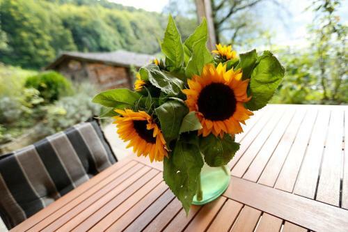 Apartamento Chalet Christl