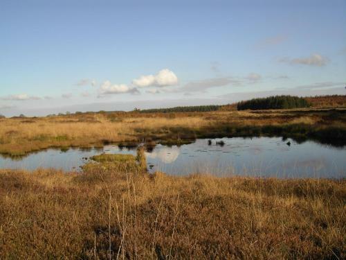 Apartamento Rurtalapartment