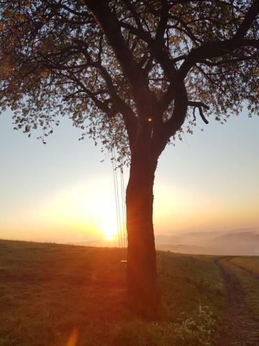 Sonnenschein Am Rursee