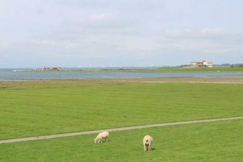 Apartamento Ferienwohnung An Der Nordsee / Husum Bucht