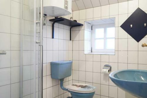 Apartamento Reetdachhaus Suensbarg