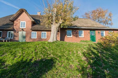 Apartamento Reetdachhaus Suensbarg
